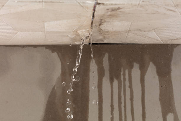 Professional Structural Drying technician working in East Bernard, TX